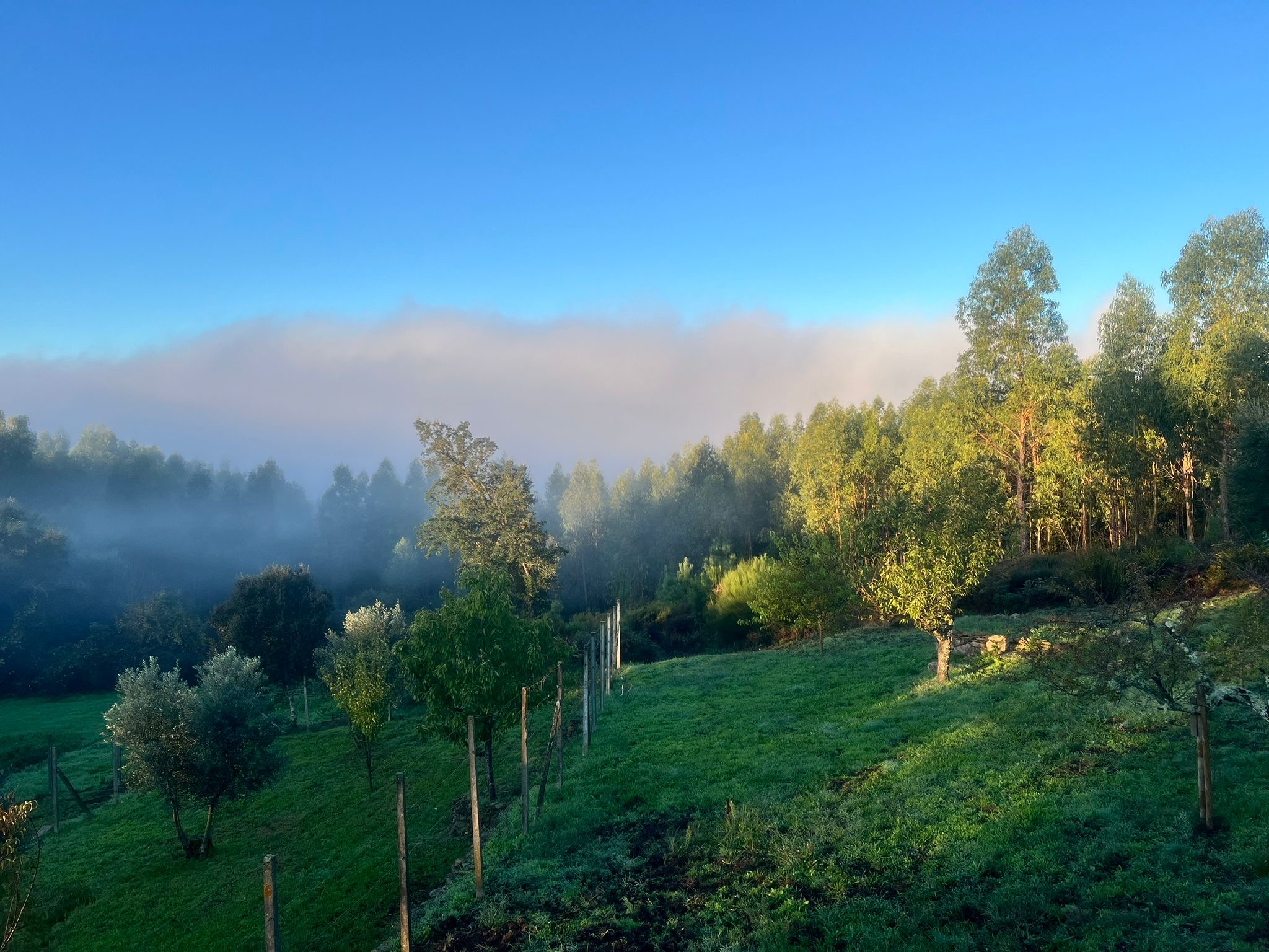 Für Miniretreat oder sonst